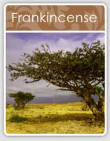 Frankincense