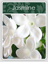 Jasmine Incense