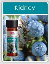 Kidney Oil